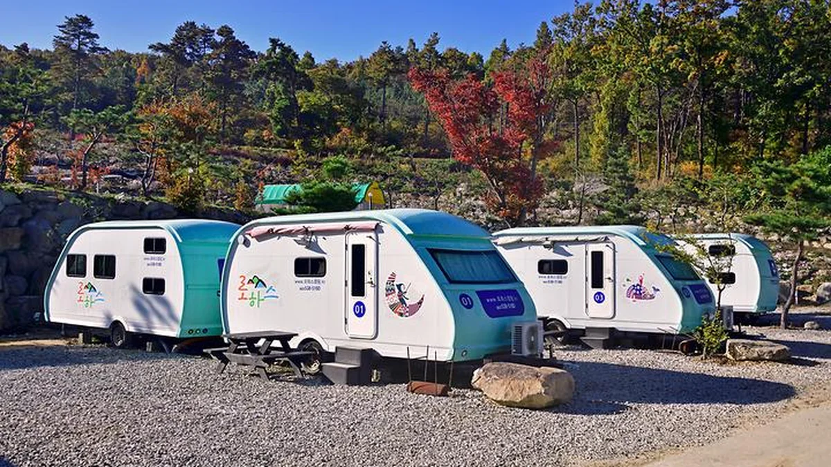 로하스캠핑