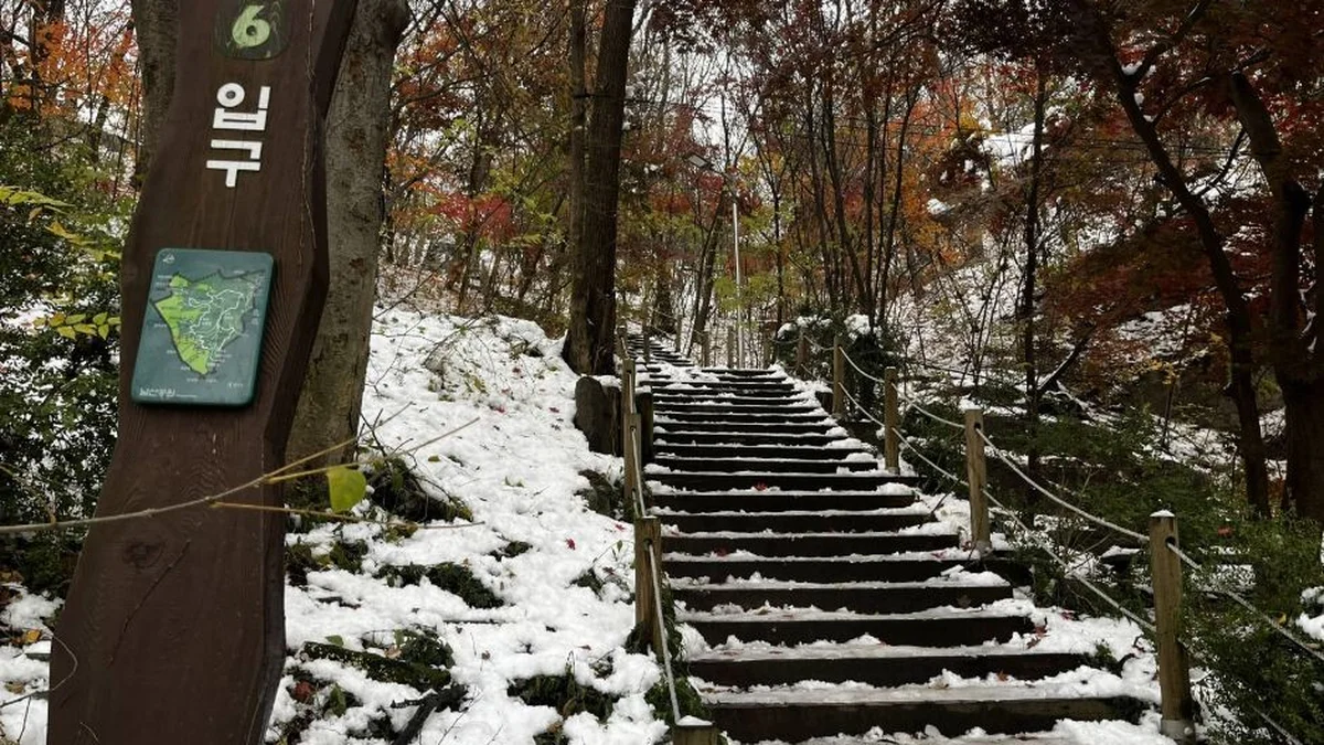 남산인권숲