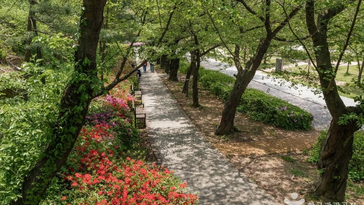 북서울꿈의숲