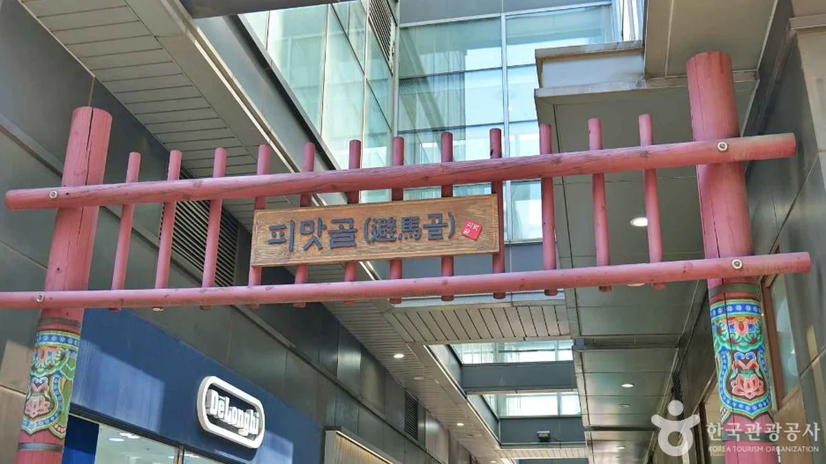 서울 종로 낙지볶음 골목