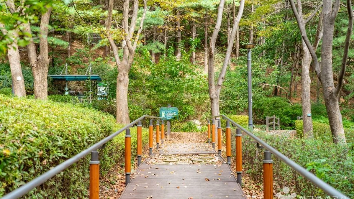 “서울 도심에 이런 자연이?”… 5곳의 산책로로 일상 탈출 공원