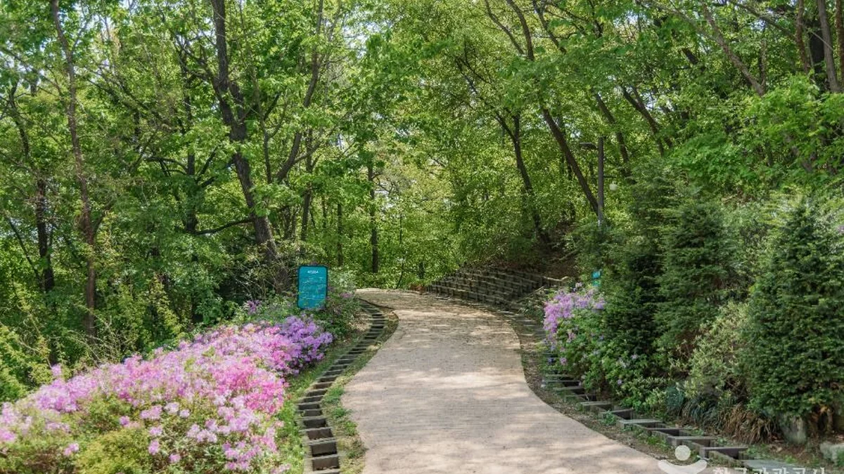 북서울꿈의숲
