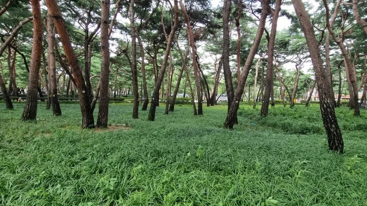[서울둘레길 20코스] 북한산 강북코스