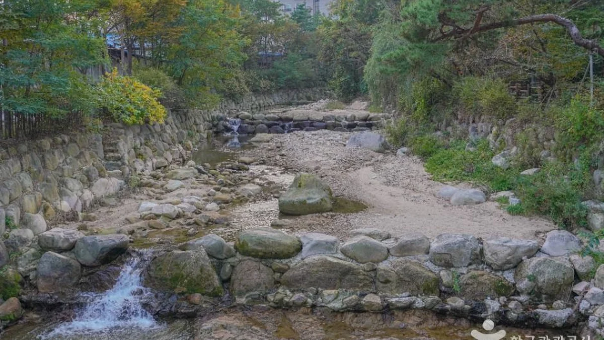 “서울 도심에서 불과 몇 km 떨어졌는데 이런 자연이?”… 도심 속 힐링 여행지