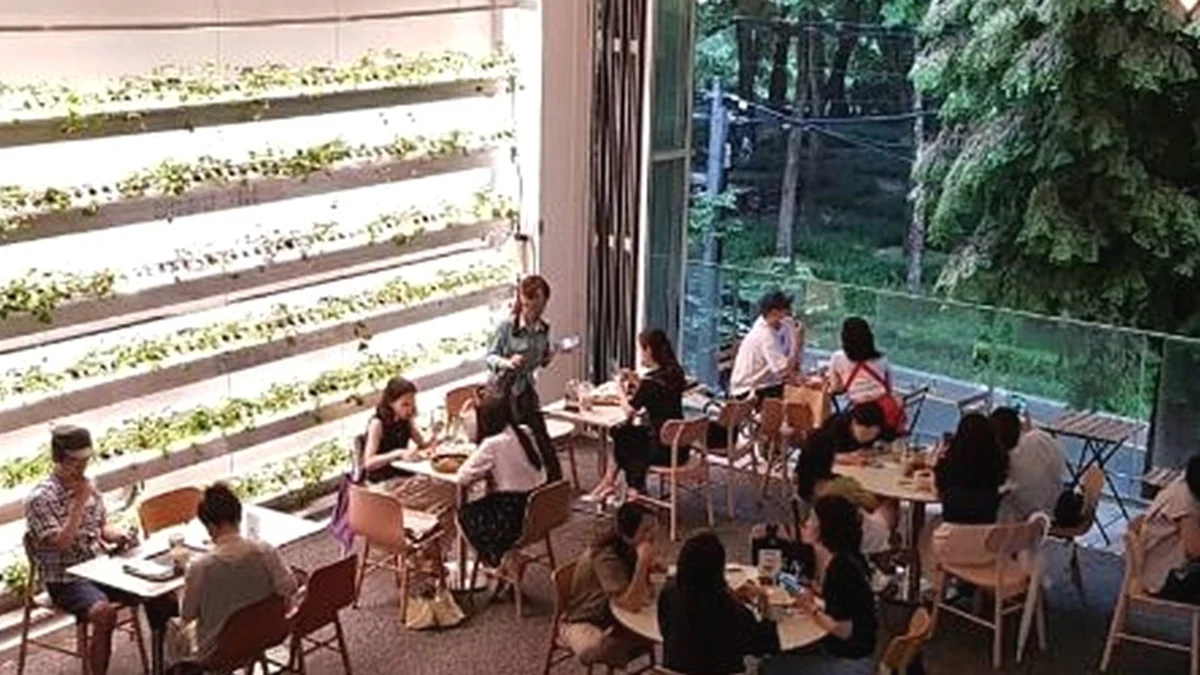 보아즈