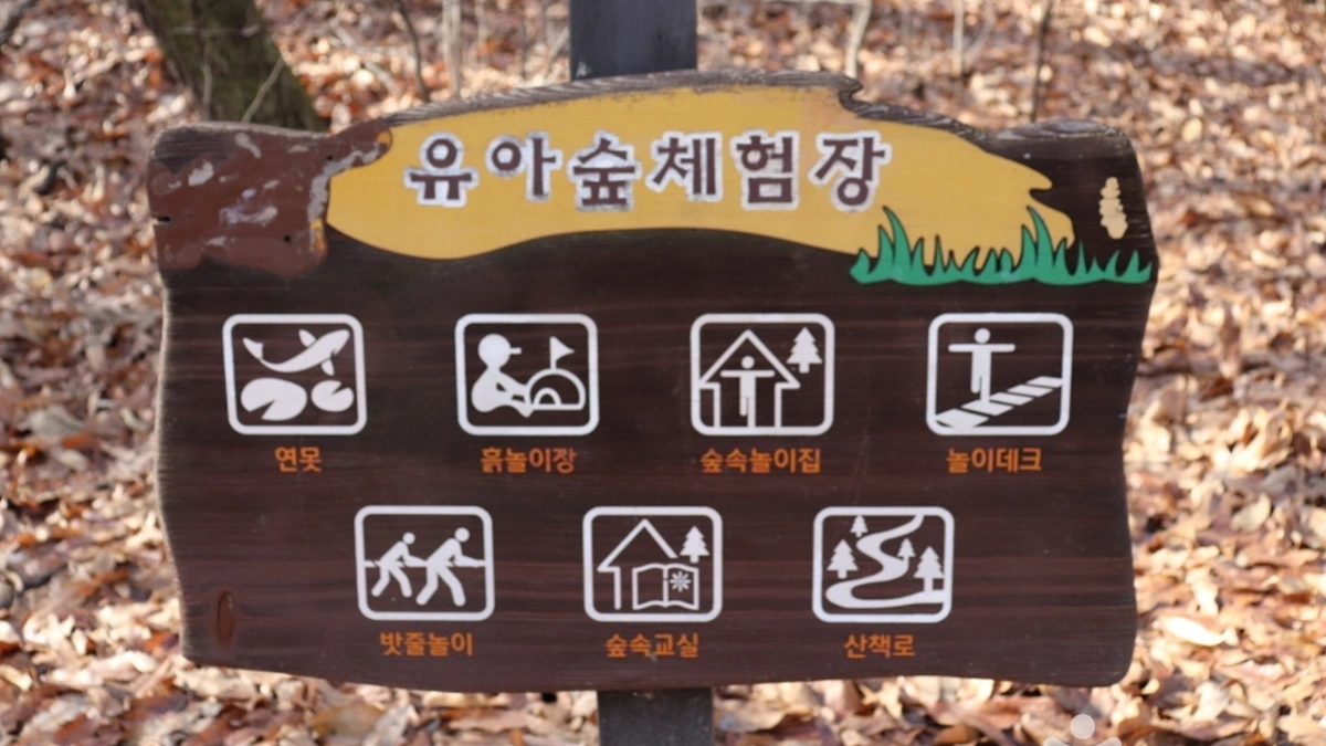 “이렇게 도심에서 자연을 만끽할 수 있다니!”… 20,000㎡의 놀라운 쉼터 오동근린공원