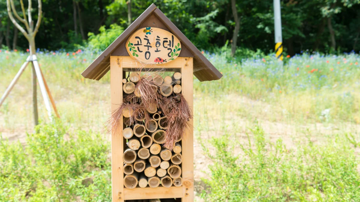 도시농업공원