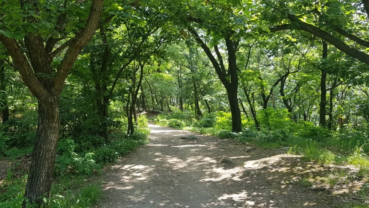 호암산성