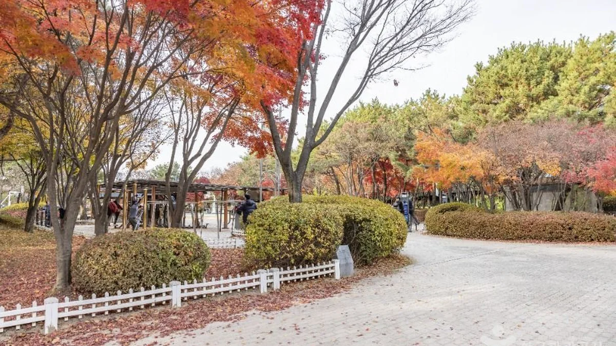 금천 체육공원