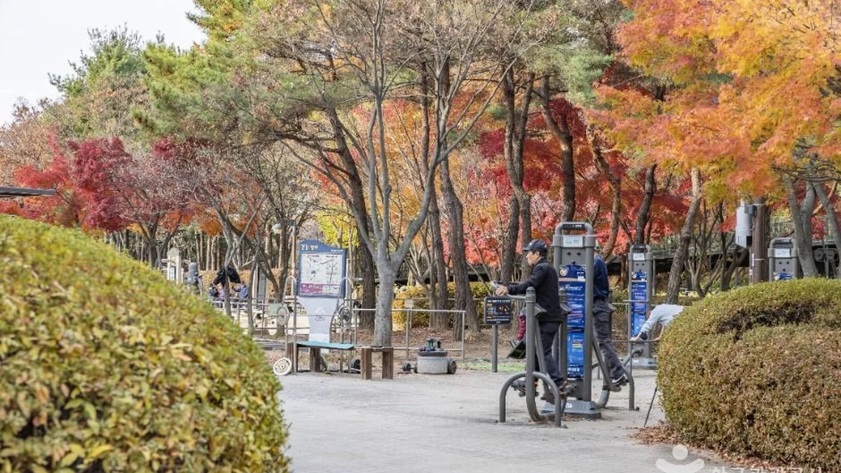 금천 체육공원