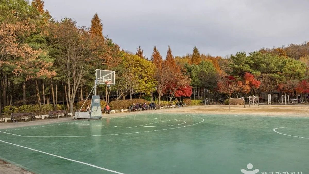 금천 체육공원