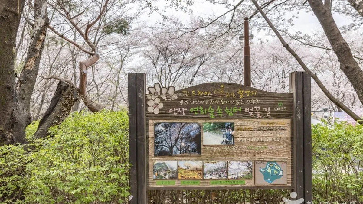 연희숲속쉼터
