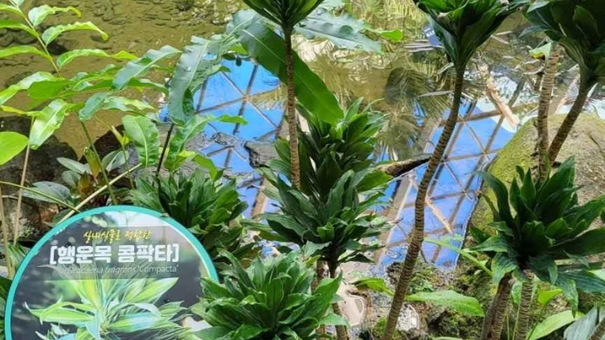 서울식물원