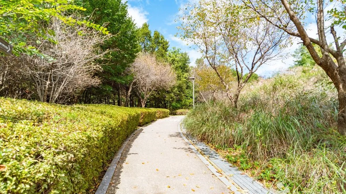 봉화산근린공원