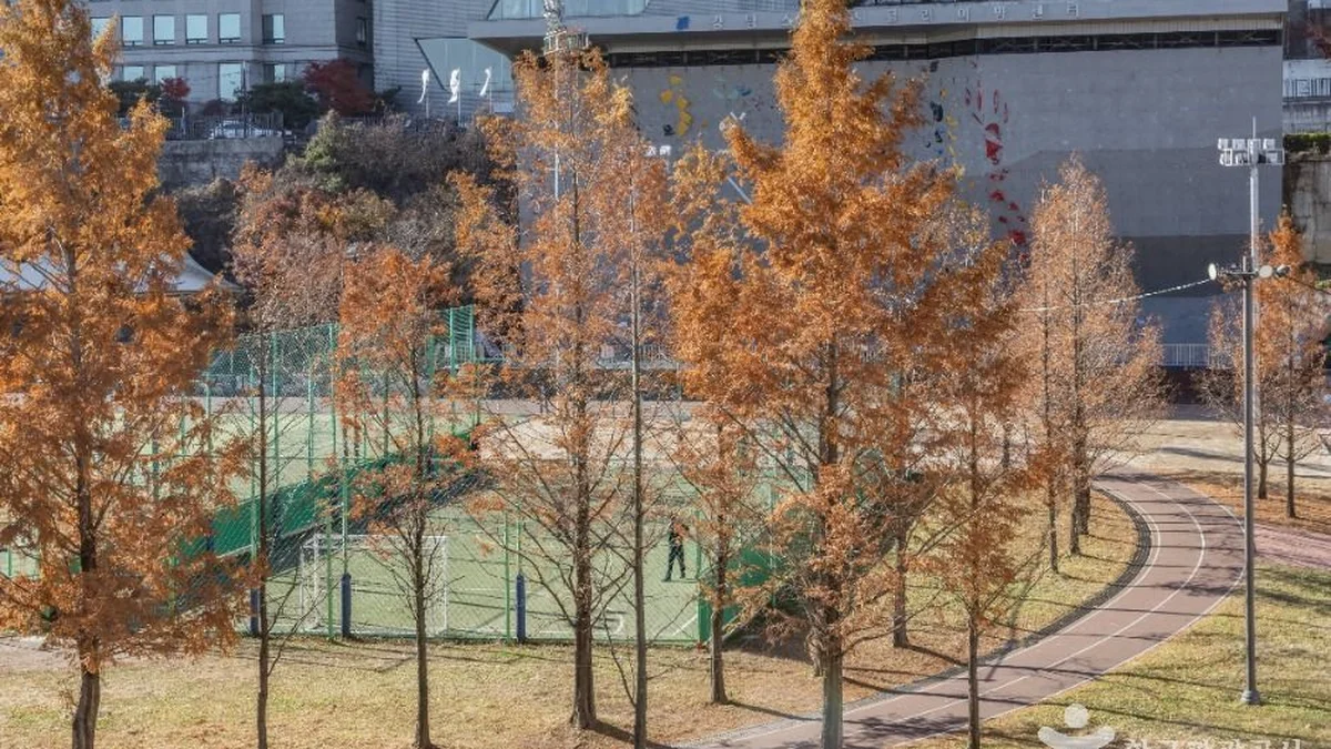 대치유수지체육공원