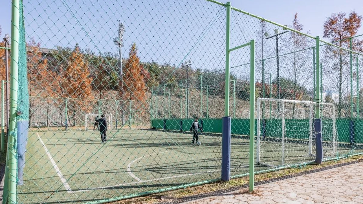 대치유수지체육공원