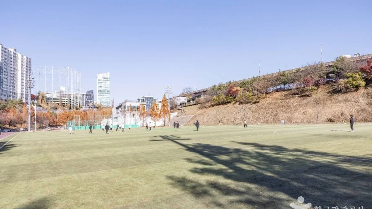 대치유수지체육공원