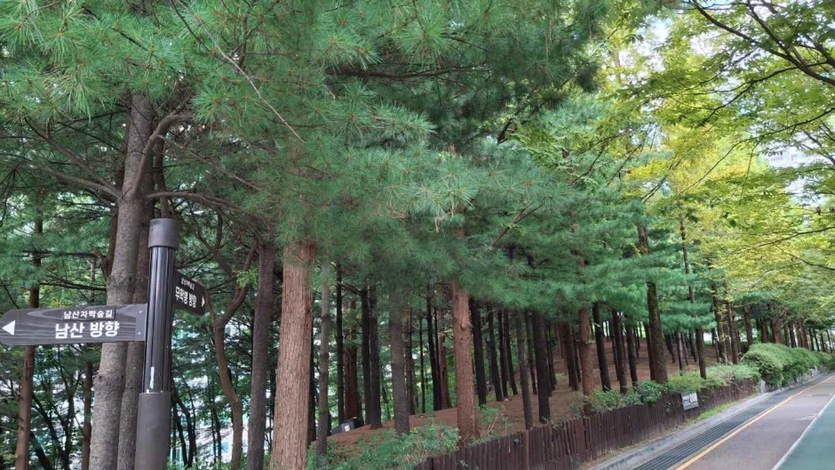 대현산배수지공원·대현산배수지공원 모노레일