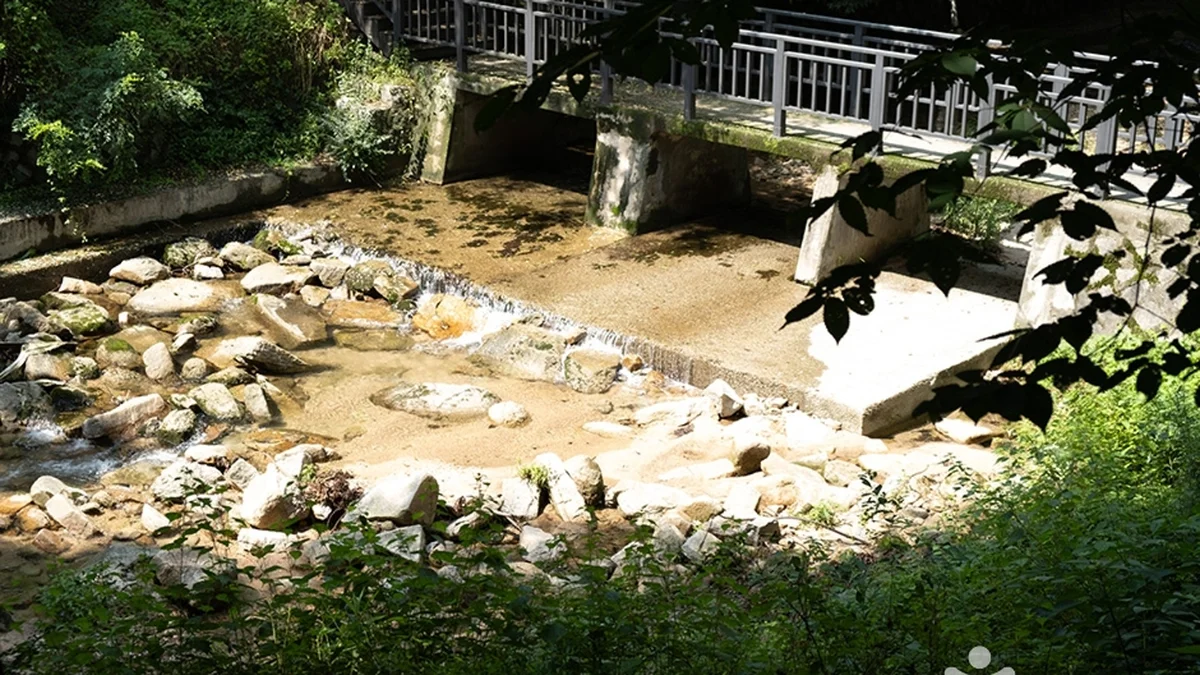 “서울 한복판에서 이렇게 맑은 계곡물이 흐르다니!”… 면적 500㎡ 자연 명소 벽운계곡