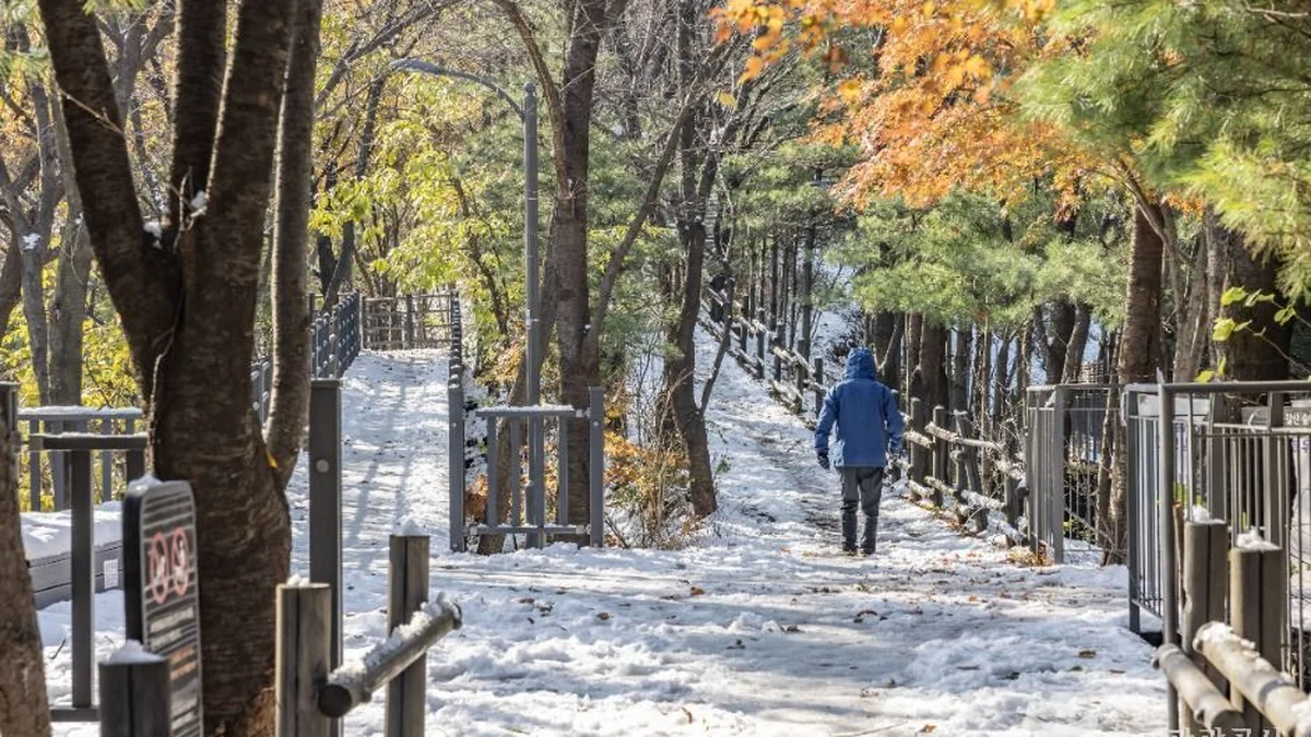 법안정사