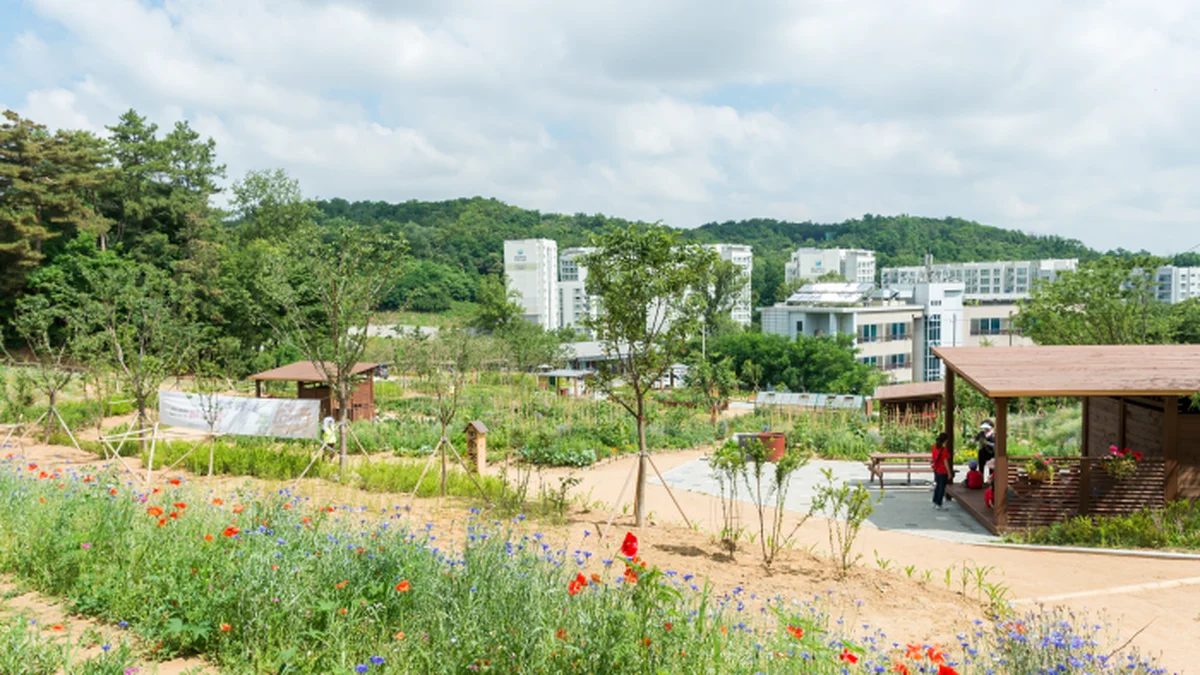 법안정사