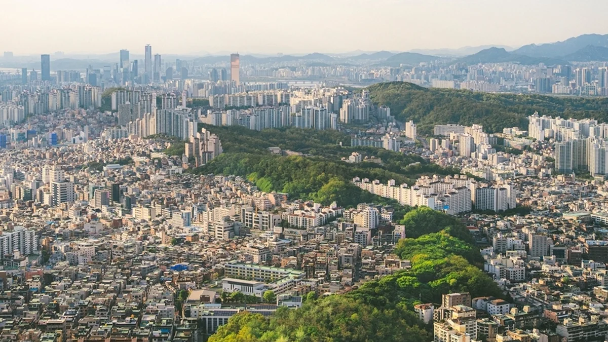 관음사국기봉