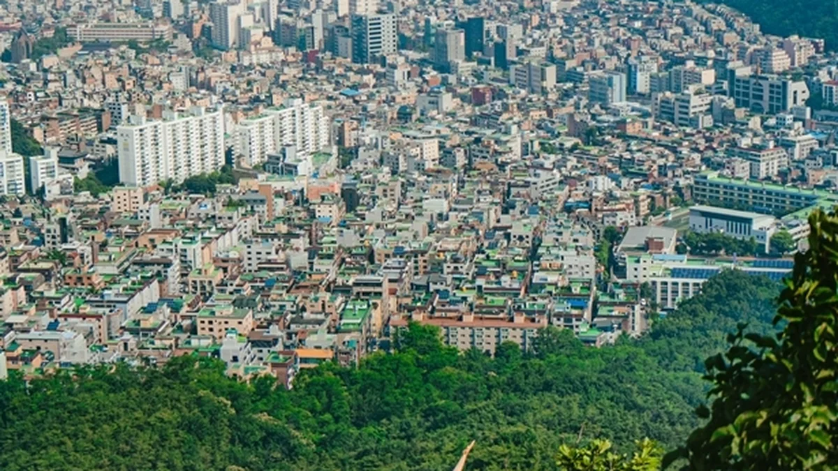 관음사국기봉