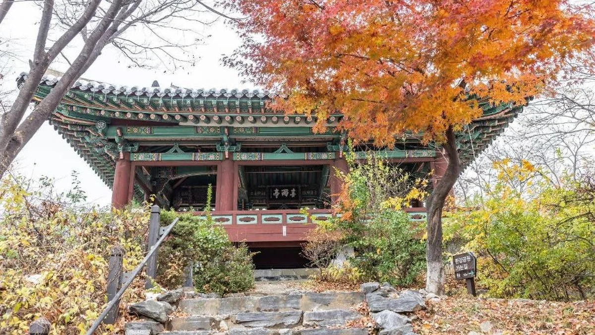 망원정 터