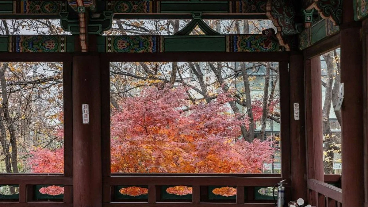 망원정 터
