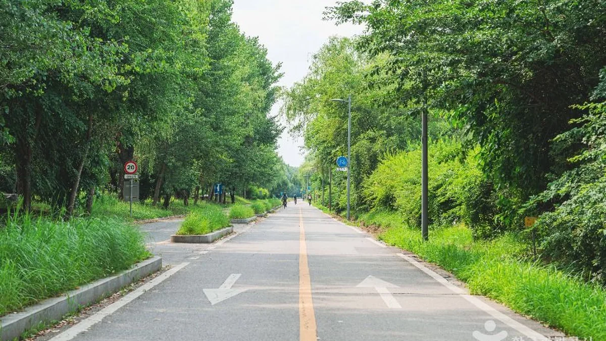 강서한강공원