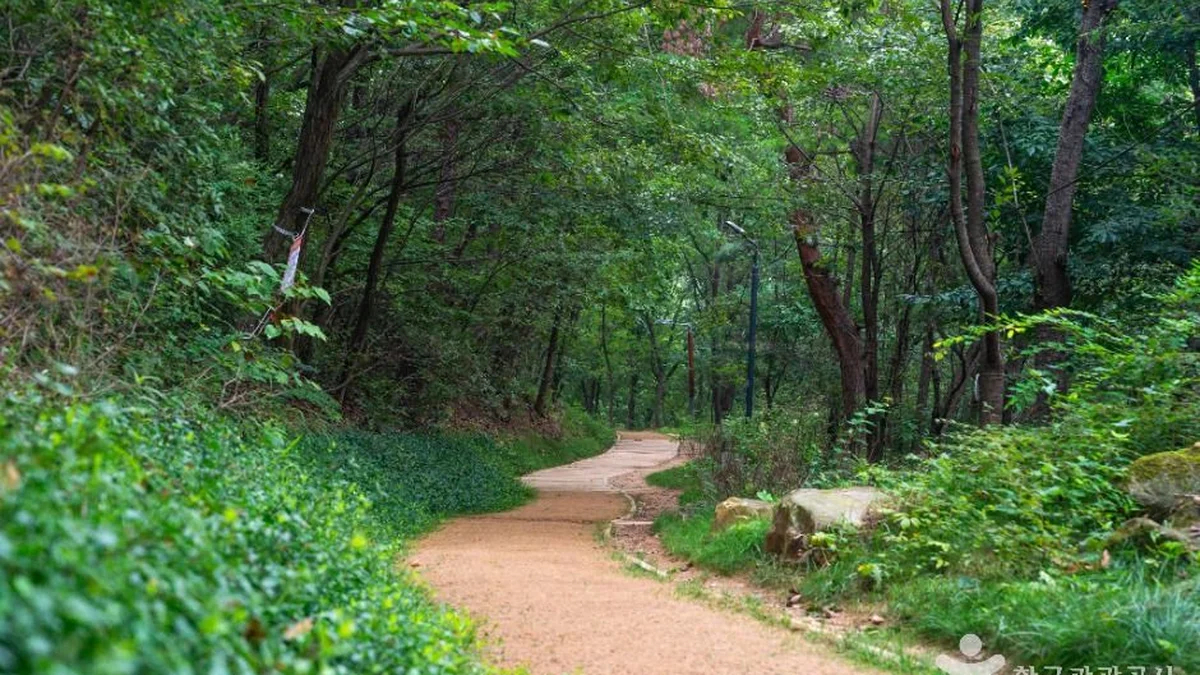 삼성산성지