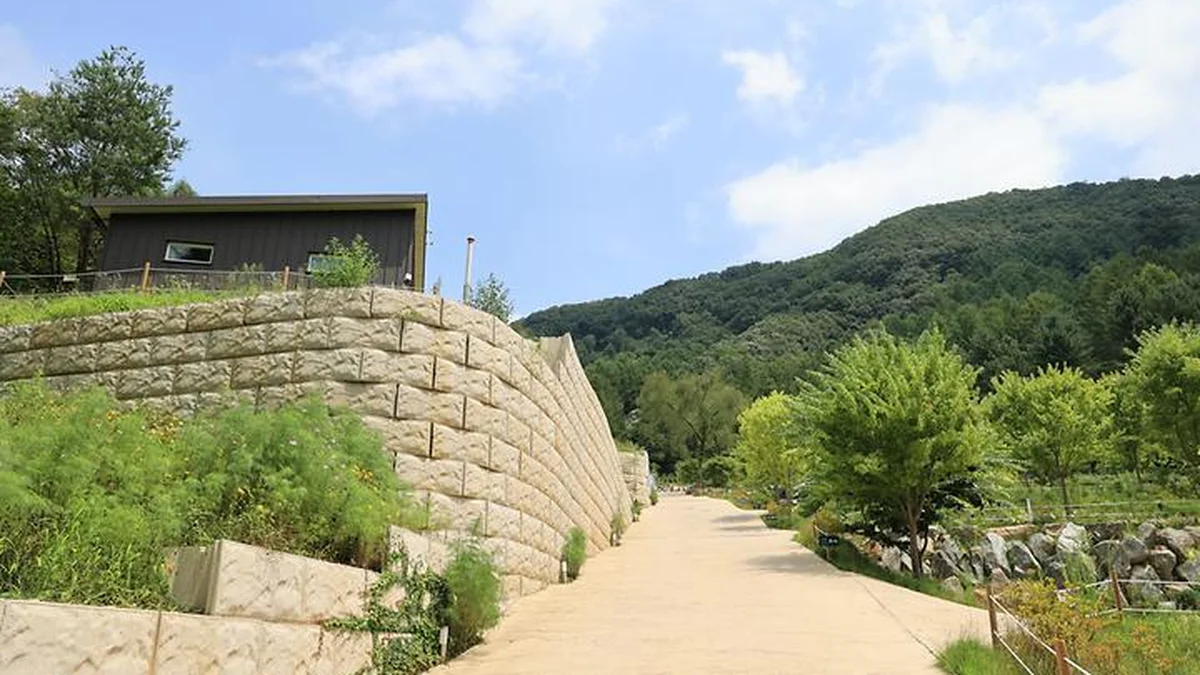 “서울에서 1시간 반 거리라니…” 신선한 자연과 캠핑의 낙원 여행지