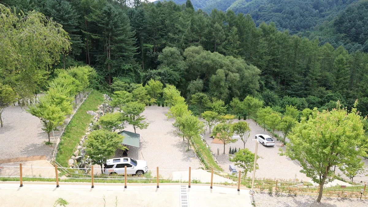 집 밖으로