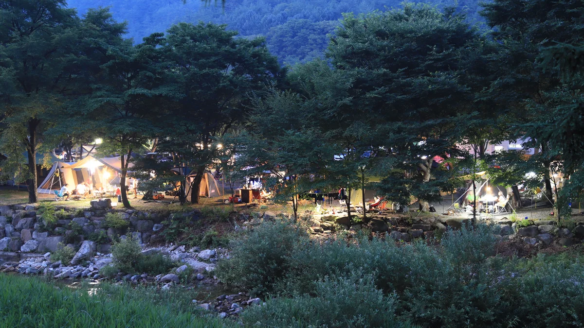 영월키즈캠핑장
