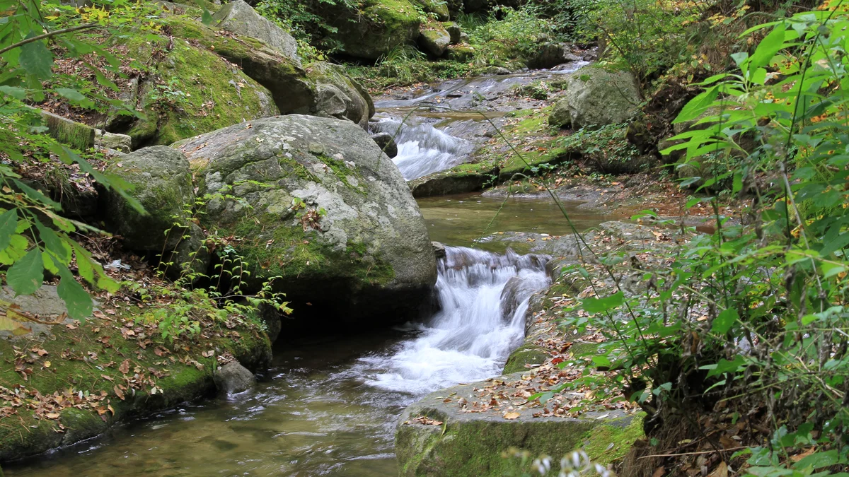 금원산자연휴양림캠핑장