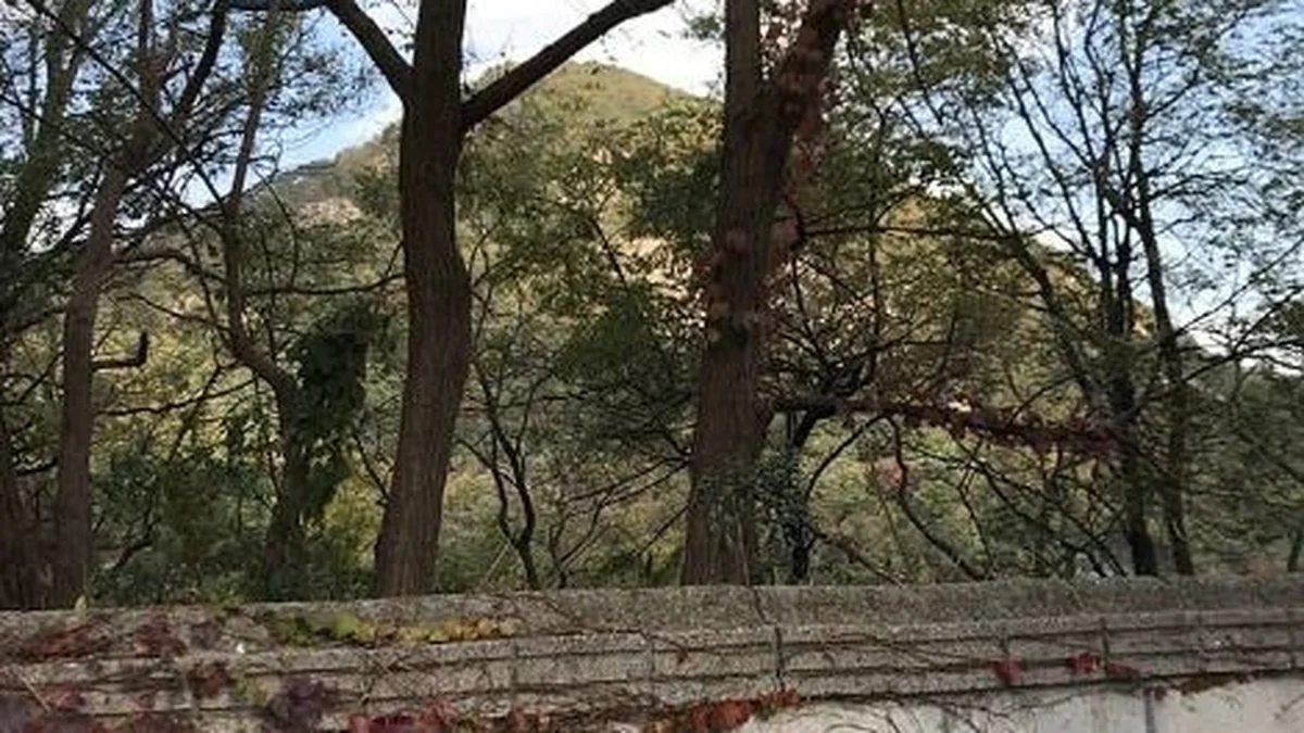 부암동