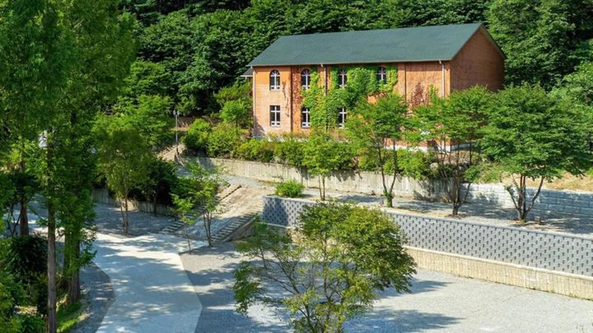 “진짜 시간이 멈춘 듯한 느낌이라고?”… 525-16번지 숨은 숲속 명소 캠프 네버랜드