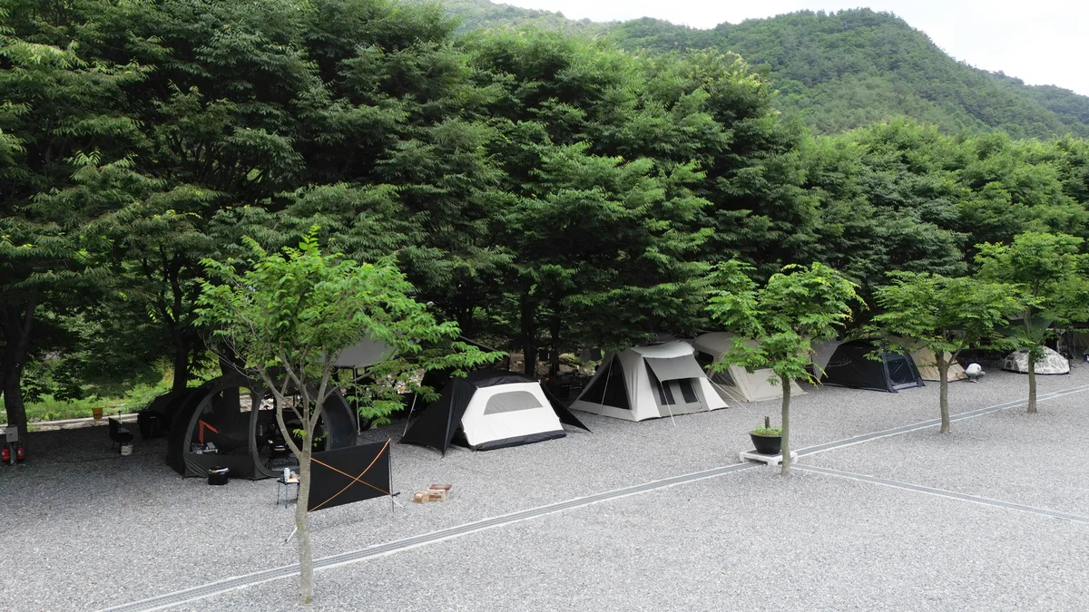 법흥계곡캠핑오늘