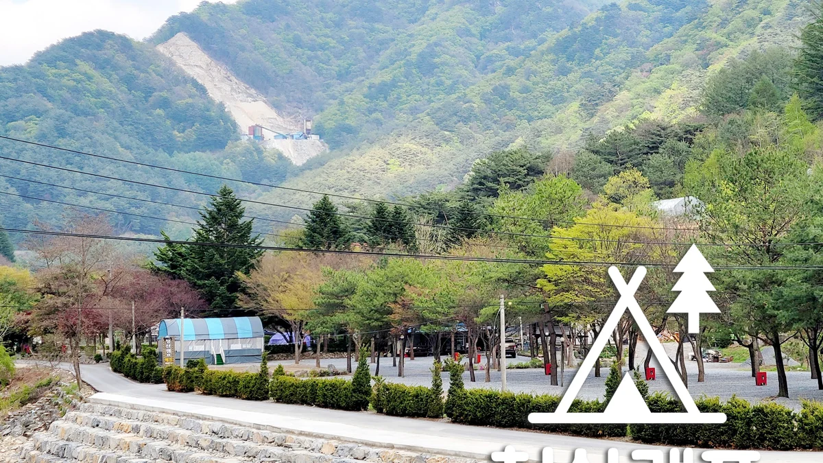 청산 캠프