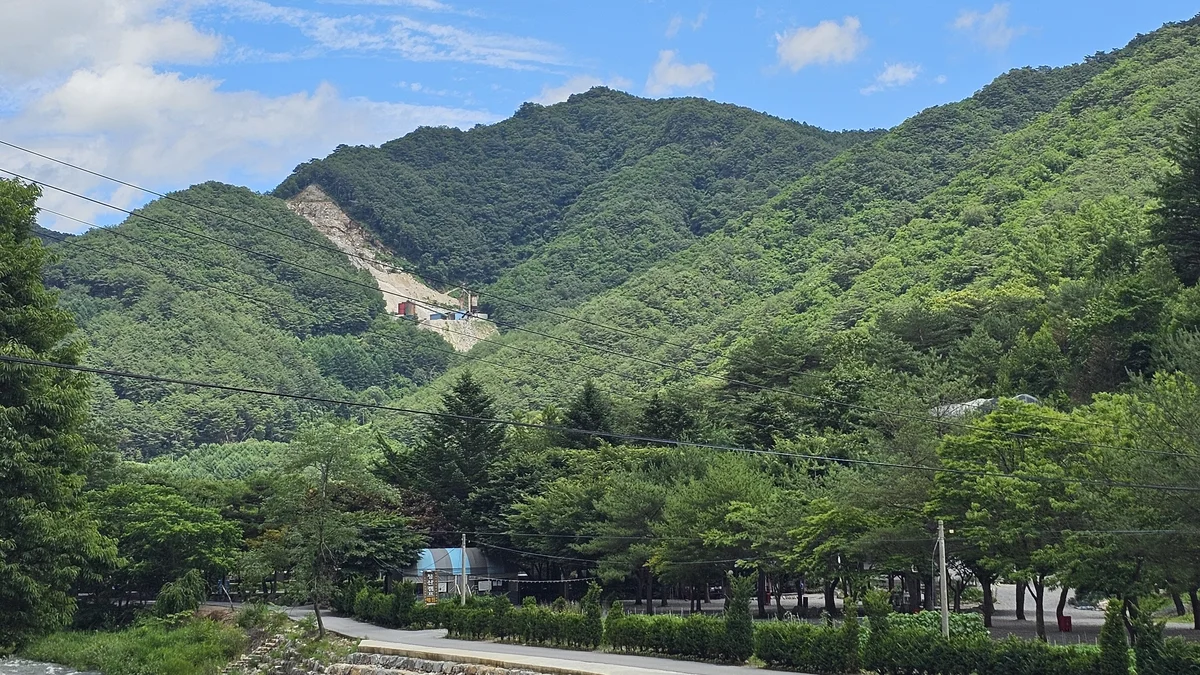 청산 캠프