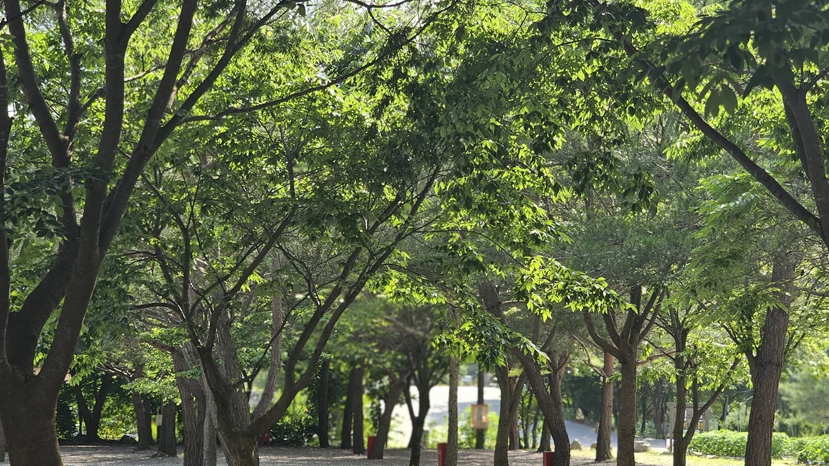청산 캠프