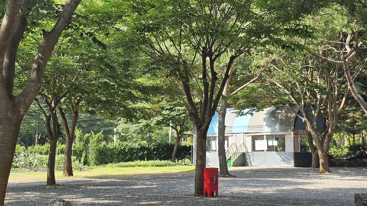 청산 캠프