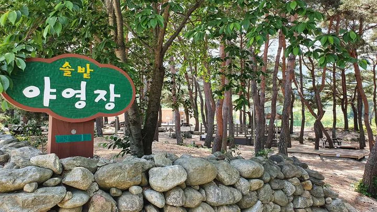 “총 30,000㎡가 피톤치드로 가득하다니”… 진짜 무장애 자연 만끽하는 캠핑 여행지