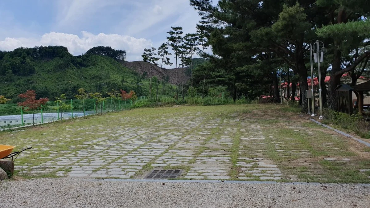 무주 솔밭야영장