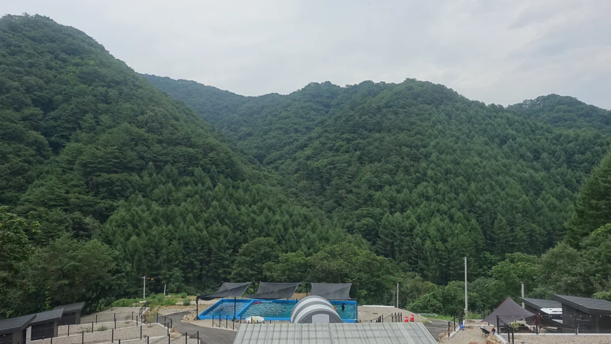 홈사리캠핑장