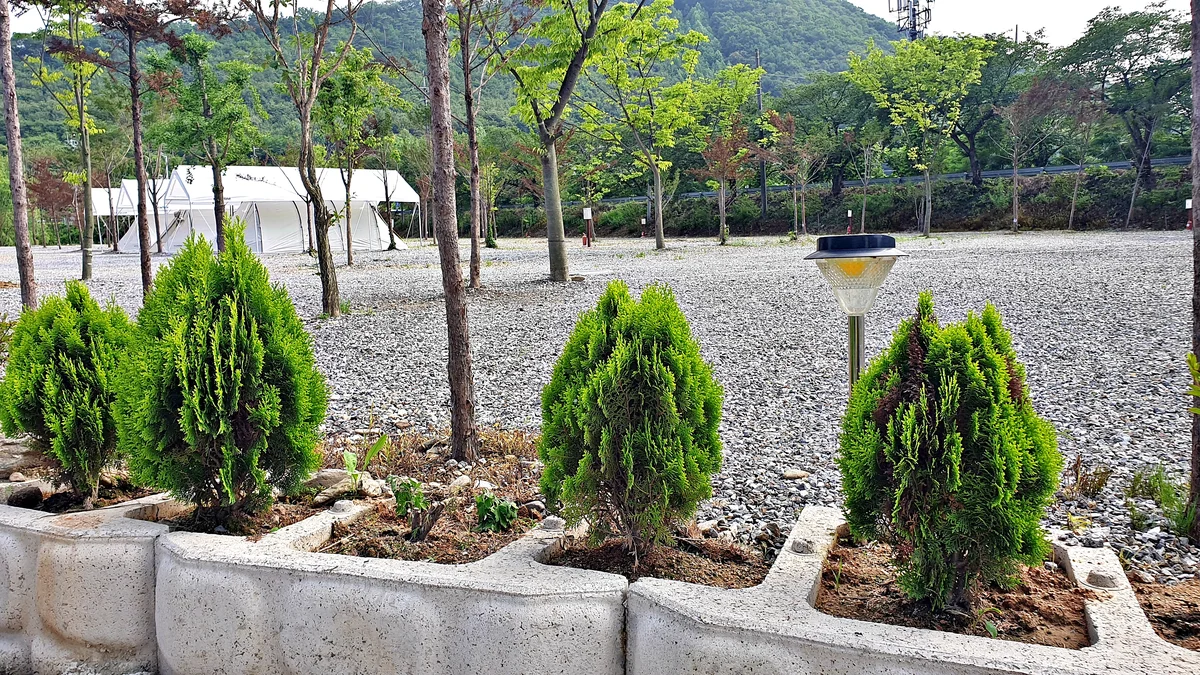 워터사이드 캠핑장
