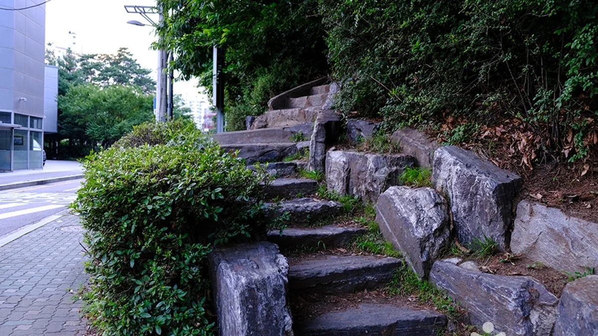 천마근린공원