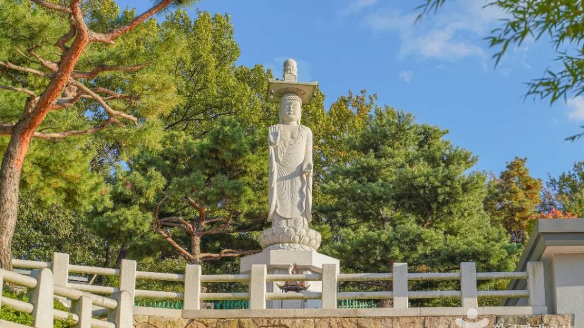 달마사(서울)