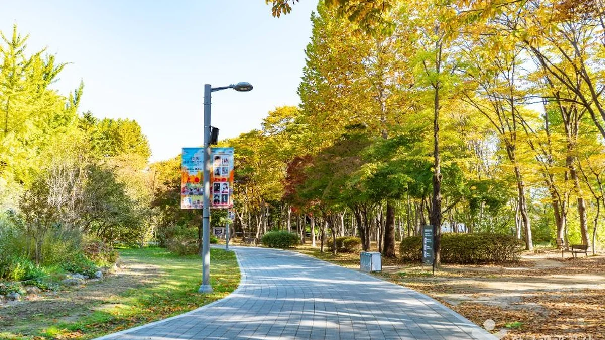 매헌시민의 숲