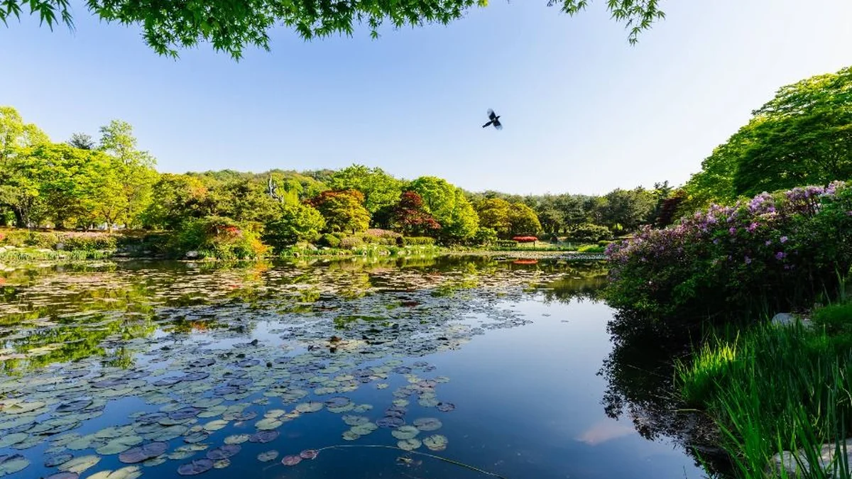국립서울현충원
